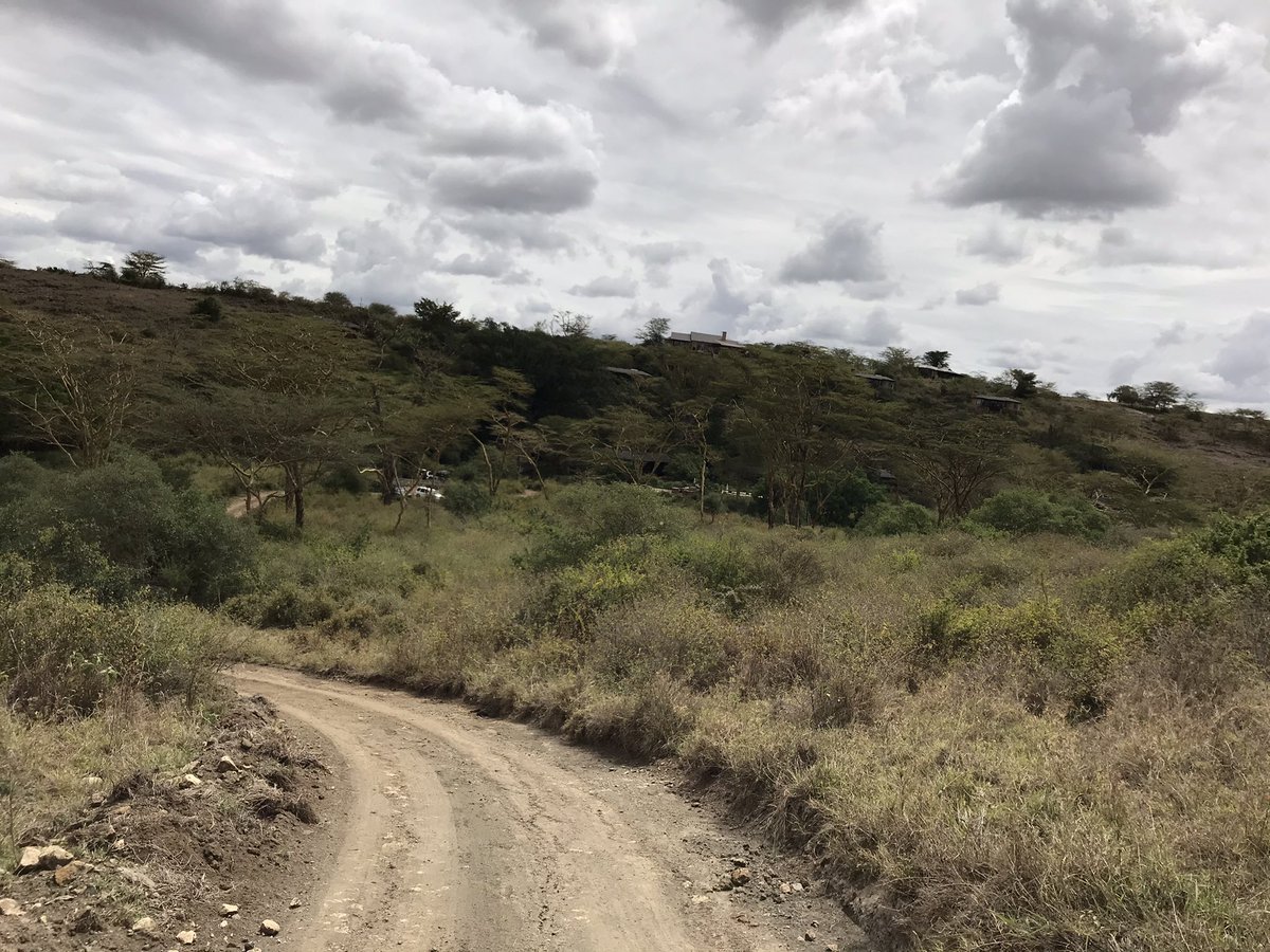 Who owns Bush and Beyond,a company that operates the  #Emakoko lodge, a private lodge inside  @kwskenya managed and Public, Nairobi National Park? &ndash; bei  The Emakoko Lodge