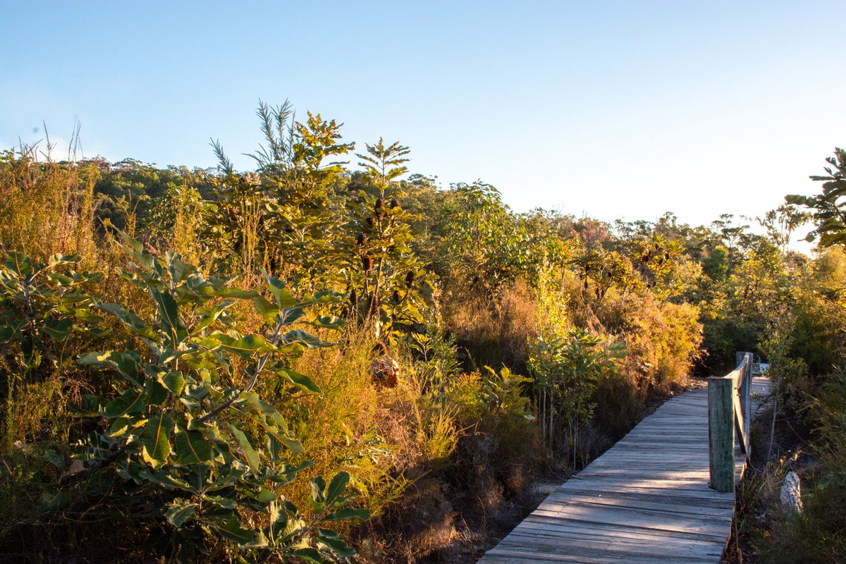 Start this new year by exploring nature, by exploring yourself!

#coworkation#worklifebalance#entrepreneurs#digitalnomad#travel#tourism