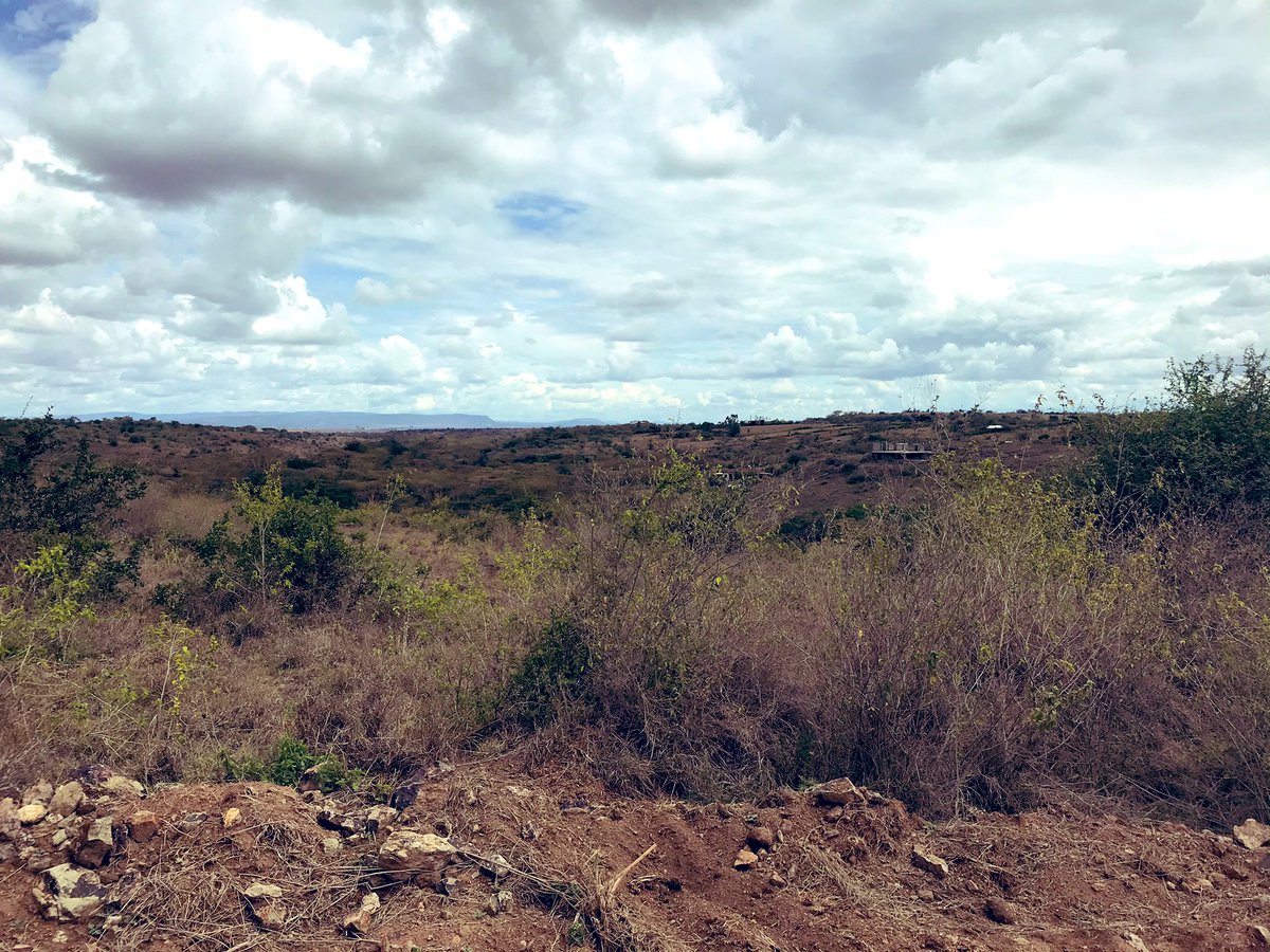 Whoever runs and operates the exclusive  #Emakoko lodge has grabbed  @kwskenya and GoK by their appendages. The privateer has exclusive access to property through publicly funded NNP and doesn’t accept walk-in clients. The facility sits within Mbahathi River ecosystem. &ndash; bei  The Emakoko Lodge