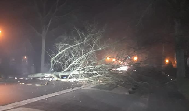 Van boom over #Schoterlandseweg tot koeien uit gierkelder Noardburgum bevrijden: #Brandweer #Nieuwehorne was druk - ..