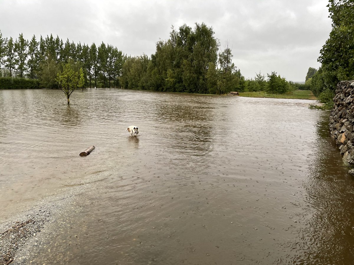Sam Neill tweet media