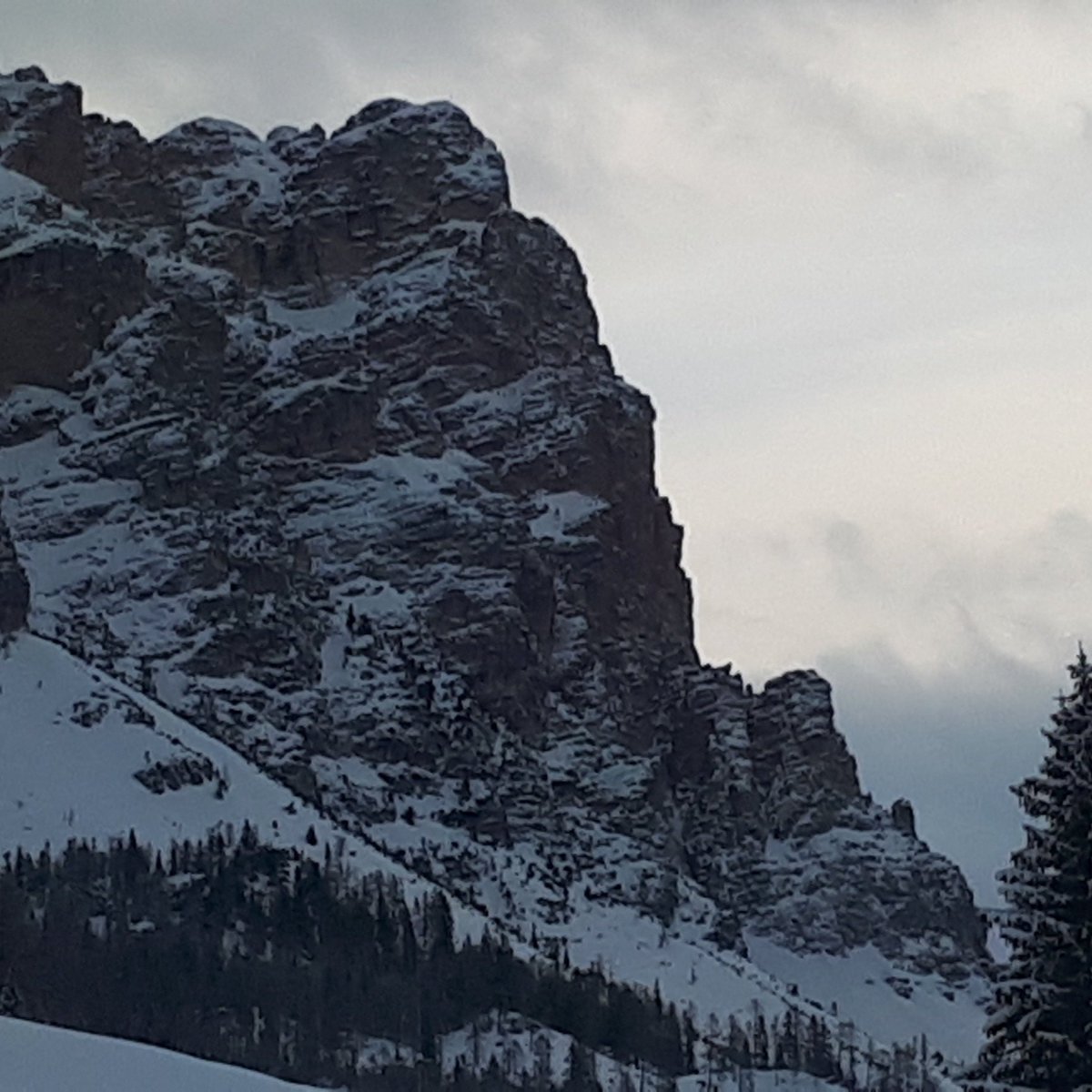 #2gennaio #buongiorno la vera magia è quando un fiore nasce da una pianta morta 😊