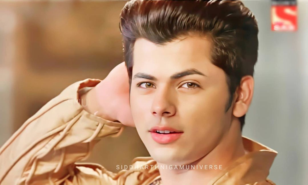 Siddharth Nigam Assures Fans Aladdin Is Back On Track; Reveals The Serial  Set Is Being Sanitised