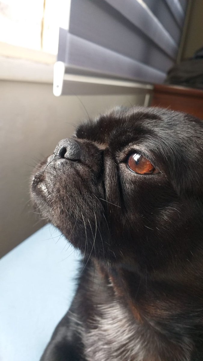 Günaydın ulan 😊🤟