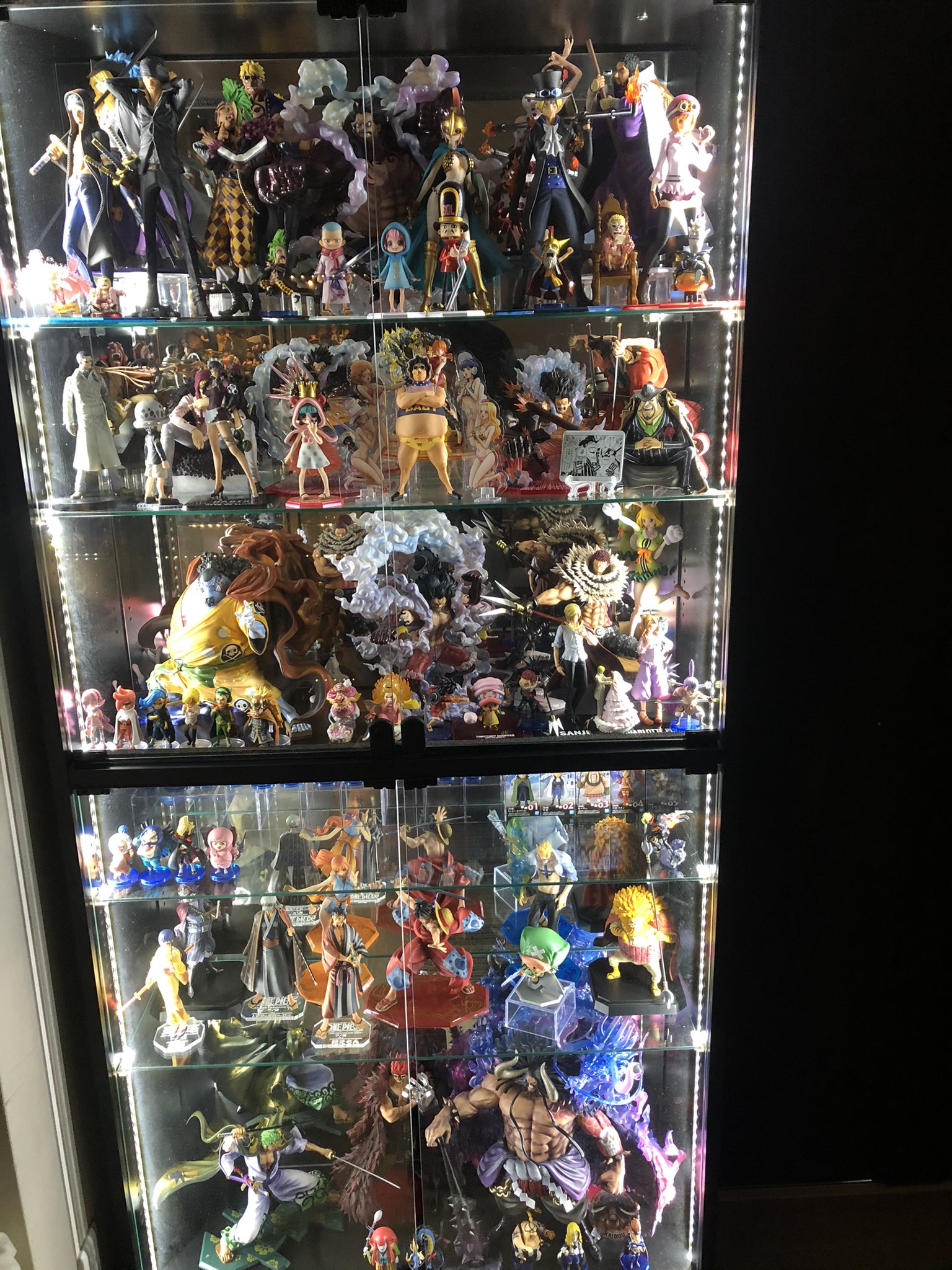 ワンピース フィギュア ケース付き Www Andradas Mg Gov Br