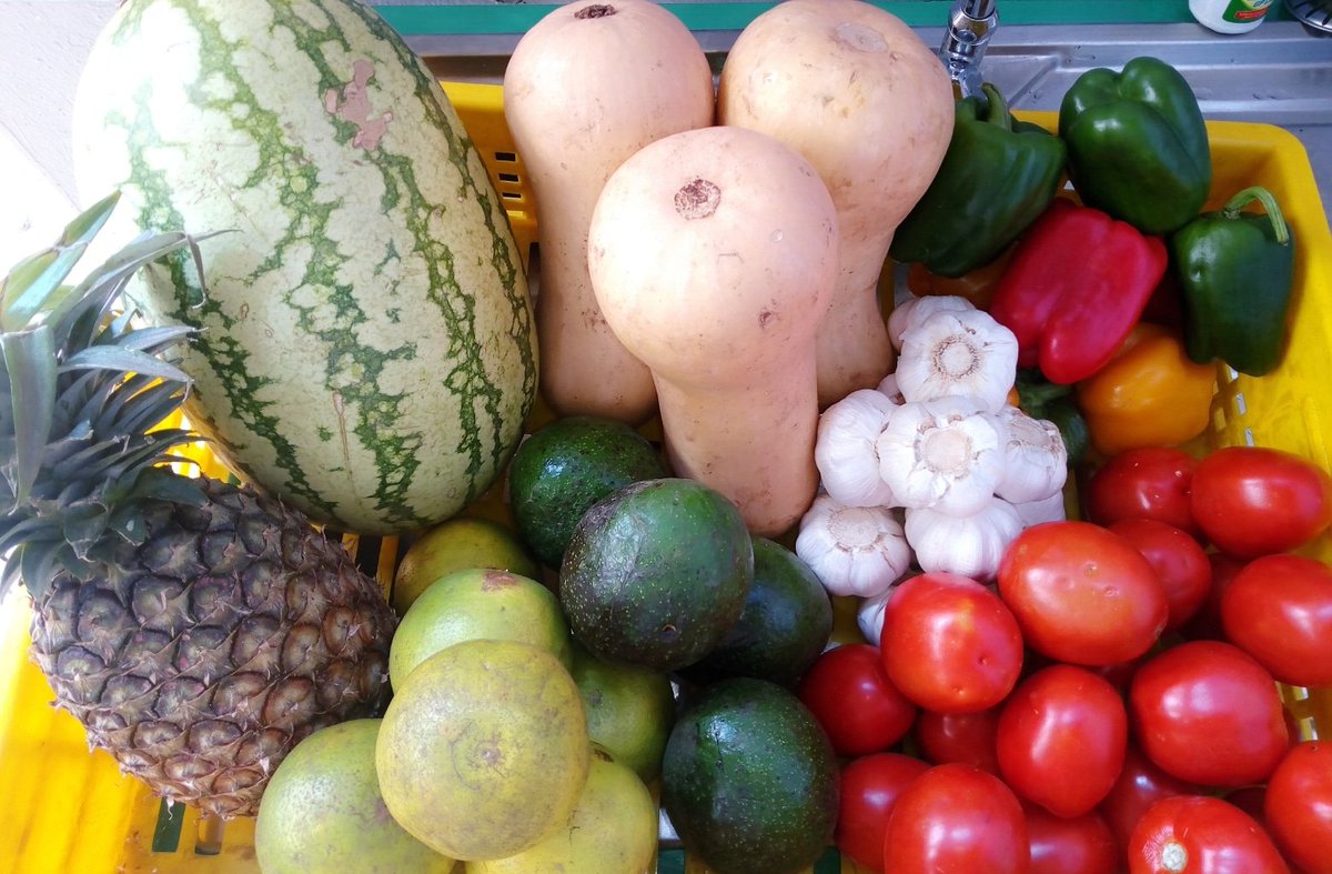 JorujoVeggies's tweet photo. #happynewyear everyone. From jorujo Veggies, we say thank you to everyone who has supported our business. We will continue to bring you fresh and affordable vegetables 🍉🌶️🥦🍆🍅🥒🥑.
Tuzidi kugrow pamoja 🤗 https://t.co/Exf1FXDngj