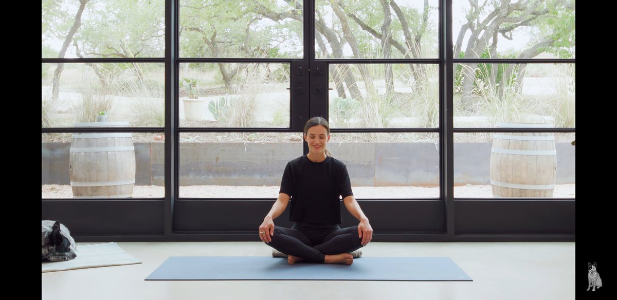 euphoricvegan's tweet photo. Started off the day with @yogawithadriene new 30 day journey...love seeing Benji in the corner 🧘‍♀️🐶😊 https://t.co/PuxdvvzJi6