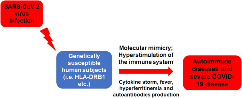 10. SARS-CoV-2, the autoimmune virus https://www.ncbi.nlm.nih.gov/pmc/articles/PMC7598743/confirmation of peptide findings + autoimmune factors