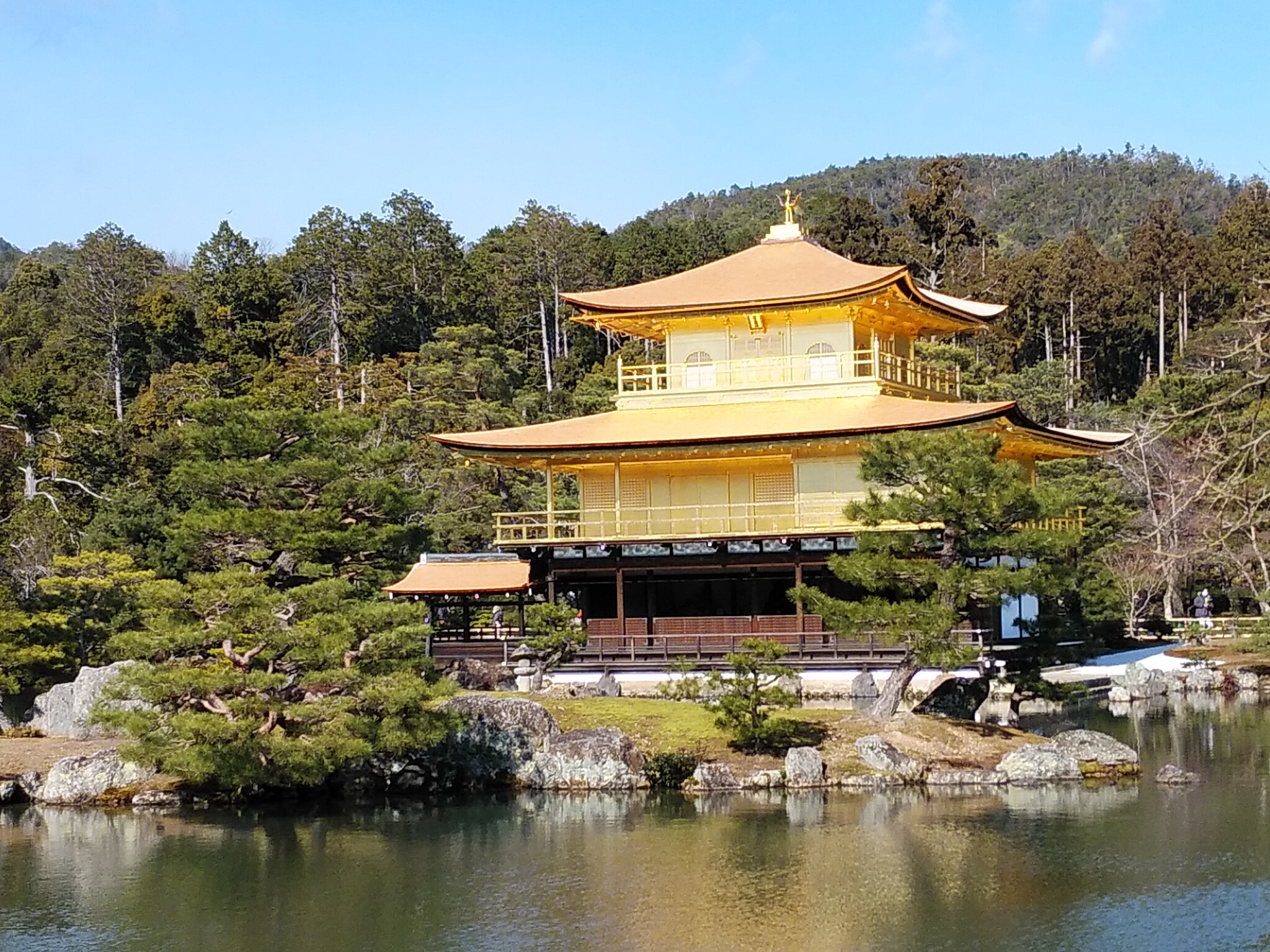 五島園芸 金ぴかの金閣寺 鹿苑寺 金箔が張り替えられて綺麗になったので行ってみました T Co Xjgd1qsllt Twitter 五島園芸 金ぴかの金閣寺 鹿苑寺 金箔が張り替えられて綺麗になったので行ってみました T Co Xjgd1qsllt Twitter