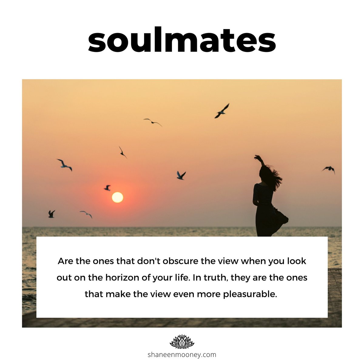 #soulmates #soulfamily #brothers #sisters #beingyou #beingfree #beinglove #understanding #onelove #thoughts #feelings #personalblog #experience #mirrorsofthesoul