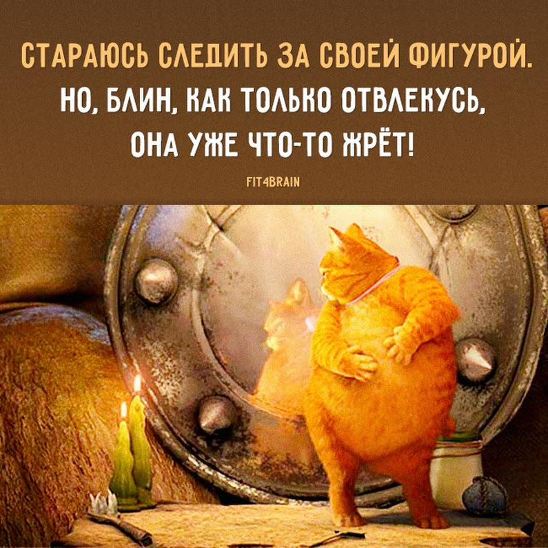 Стих конечно хочется пожить. Мем но я же. Статусы с юмором и смыслом. Если вам плохо обнимите кота теперь плохо не только вам. Мемы из властелина колец.