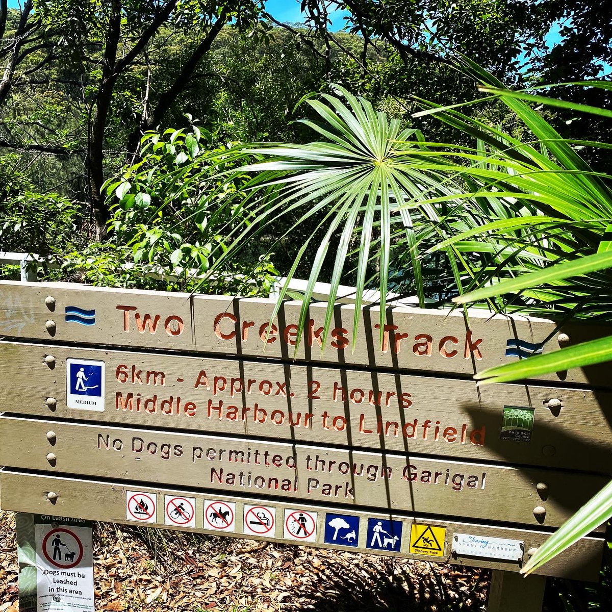 Two Creeks Track. #hikingyaks #trekking #nswnationalparks #australia