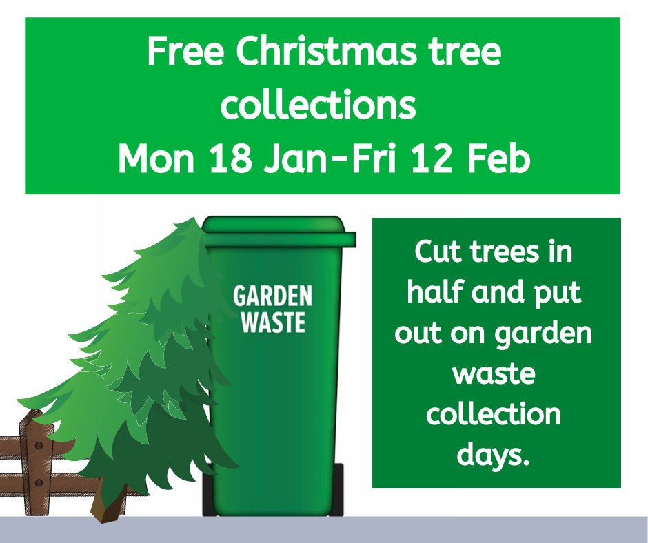 bathnes's tweet image. We will collect your real Christmas tree for recycling, for free! Put them out for collection between January 18 and 12 February on garden waste collection days (even if they don’t have a green bin) and we will collect them for free. Please cut them  in half.