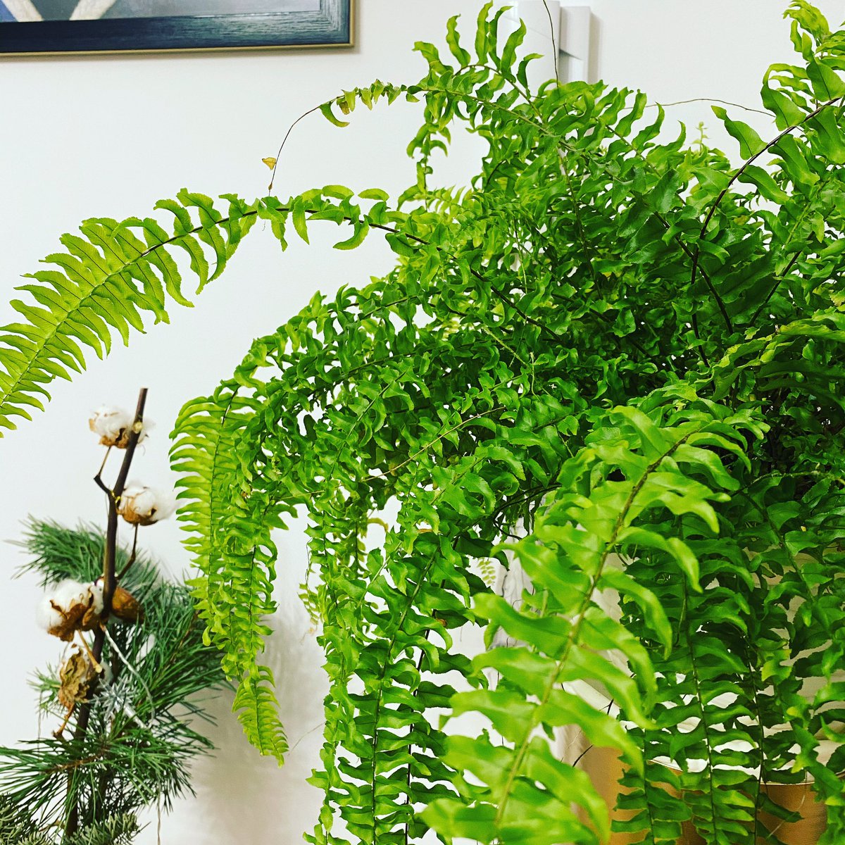 👩🏻‍🚀💫EXHTO tweet media