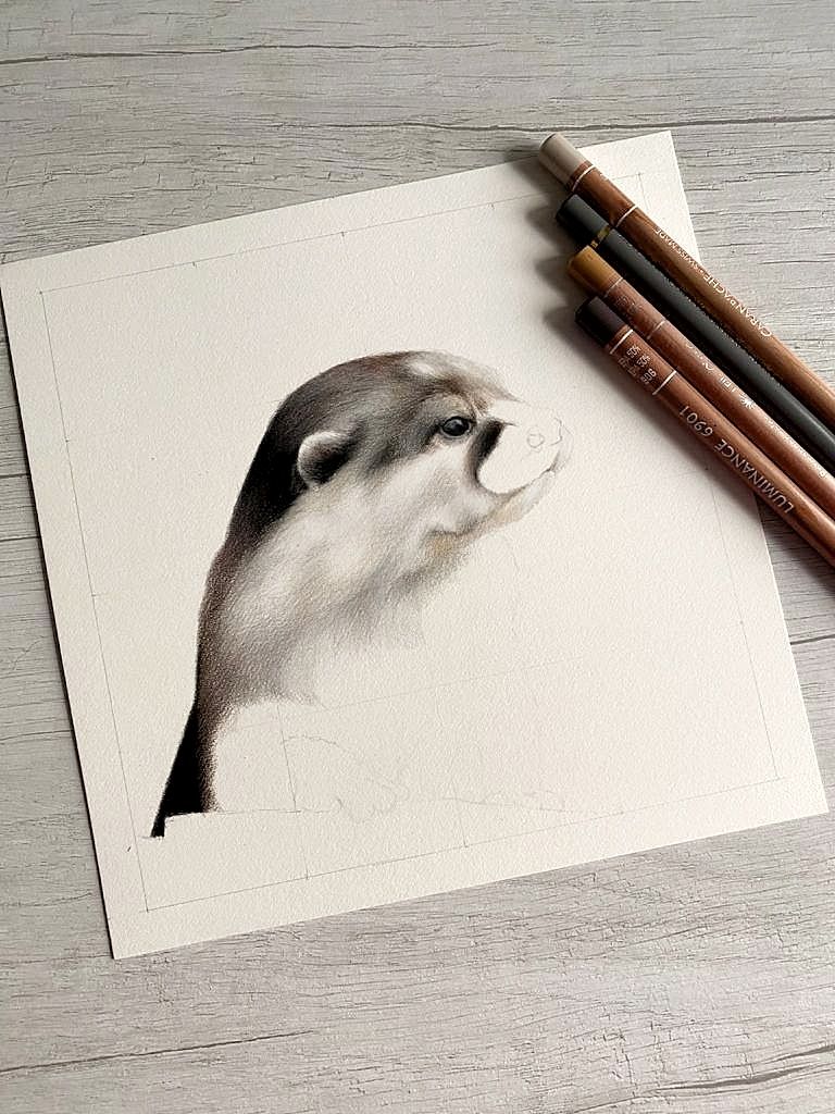 I started a new little project! Do you love otters?
I'm filming the whole process to do a timelapse video for my YouTube channel 🎞️

#wildlife #art #artist #coloredpencils #timelapse #commissionsopen