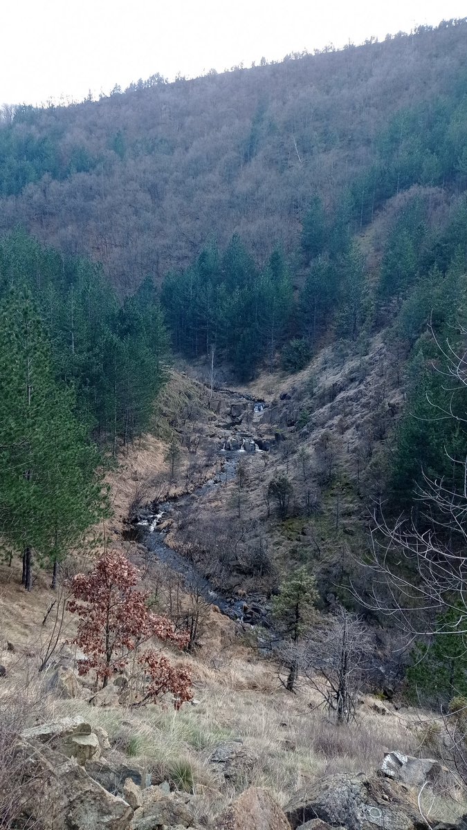 Vladan_KV's tweet photo. #Озрен #Краљево #МојаСрбија ⛰️🇷🇸
#Ozren #Kraljevo #MojaSrbija ⛰️🇷🇸 https://t.co/ja0PuCXp5e