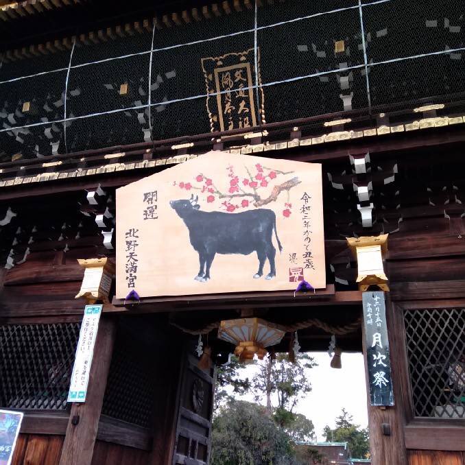 pucci´n dale tweet media