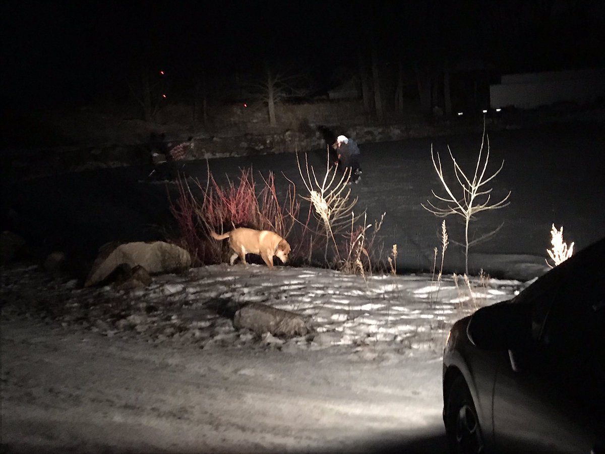 BudSchoon's tweet photo. A couple hours of skating at the shack isn’t enough.  Out with the civic and night hockey it is. #freshair https://t.co/zzFpy6fGWn