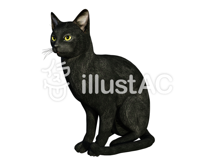 夜歩き Dazstudio 黒猫 T Co Hntweik706 T Co Rit7rqf08a T Co Syoag0i2iu T Co Wpowzgsvak イラストac よりフリーダウンロード 猫の後ろ姿って需要あるかな Daz3d Dazstudio Cg 3d 素材 フリー T Co