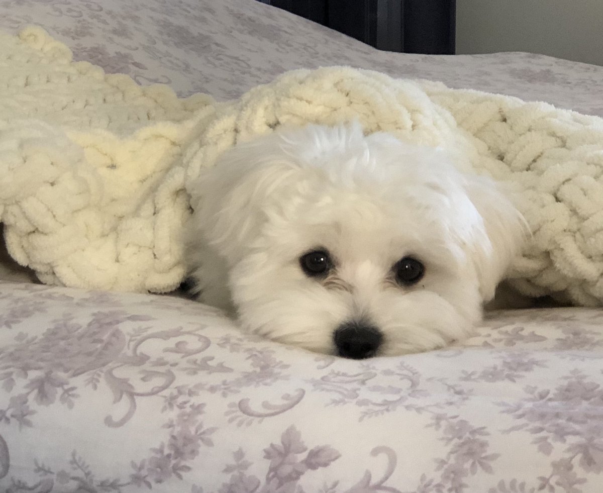 Her zaman uykulu 🤍🤍