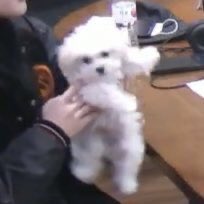 petchanook's tweet photo. ;-;ต้าวเดก https://t.co/y8ablX3RlN