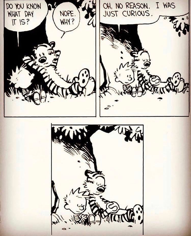 New year and good vibes 🙌🏻 #CalvinandHobbes