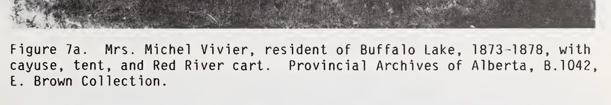 Stuthefarmer's tweet photo. "Mrs. Michel Vivier, resident at Buffalo Lake, 1873-1878."  #Prairies #PrairiePeople https://t.co/Qe6Ftw26h5