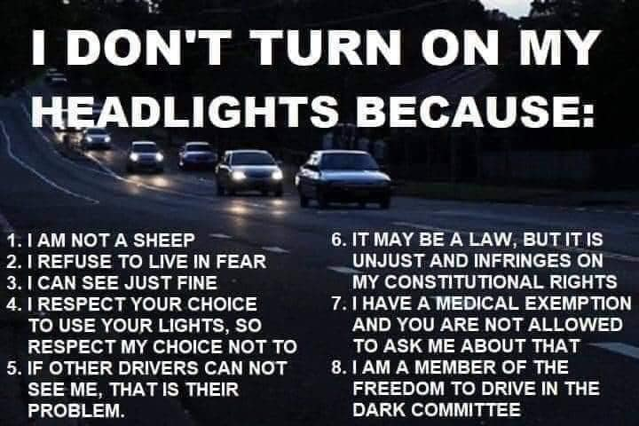 candyspets2's tweet image. Join me in my recklessness