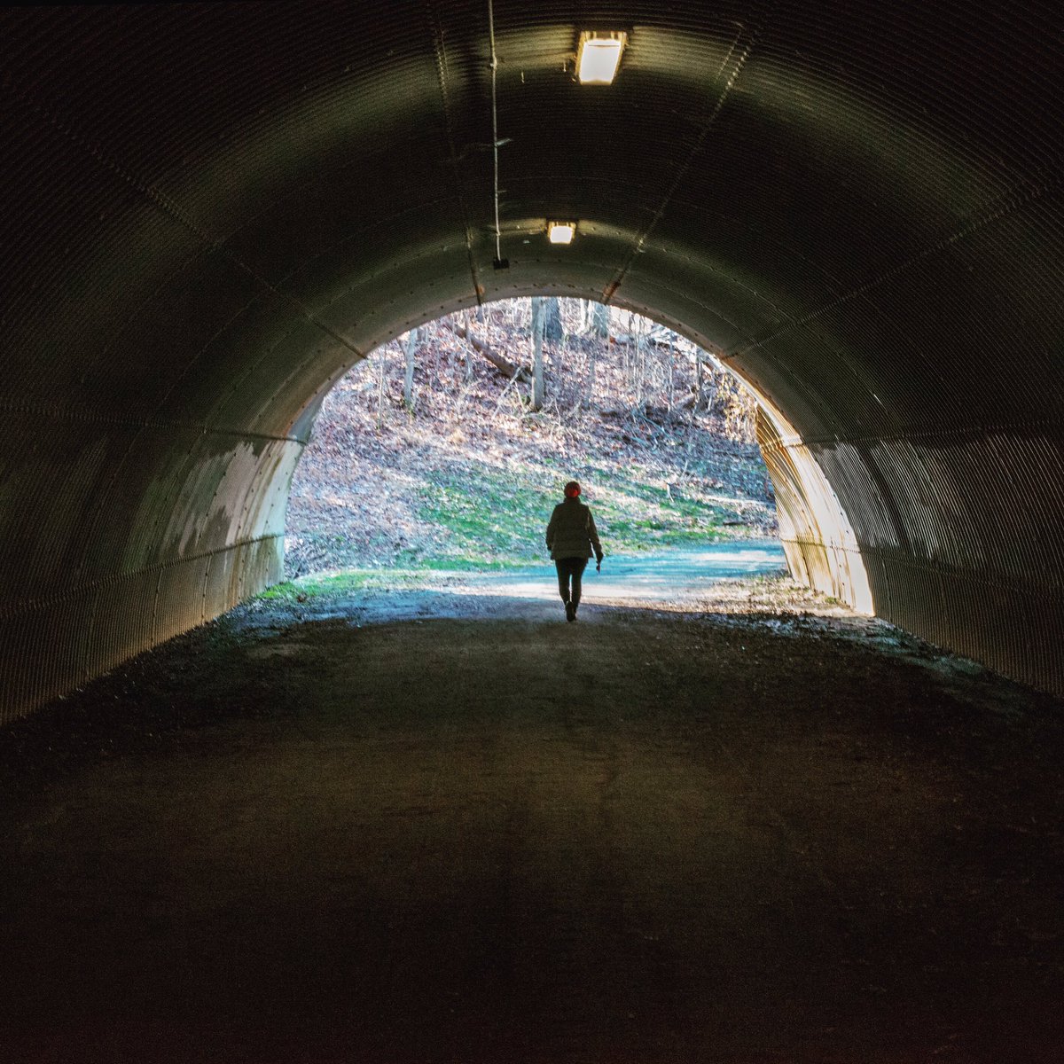 Mike09774844's tweet photo. It is 2021 and there is light at the end of the tunnel...... #hopeful #QuarantineLife  #QuarantineAndChill #QuarantineLifeCalm #tunnel #2021year https://t.co/sKSoGuSKqQ