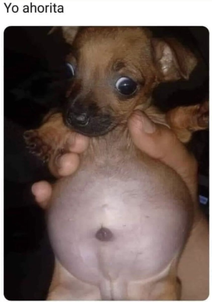 😂😂😂 y no es mentira!!