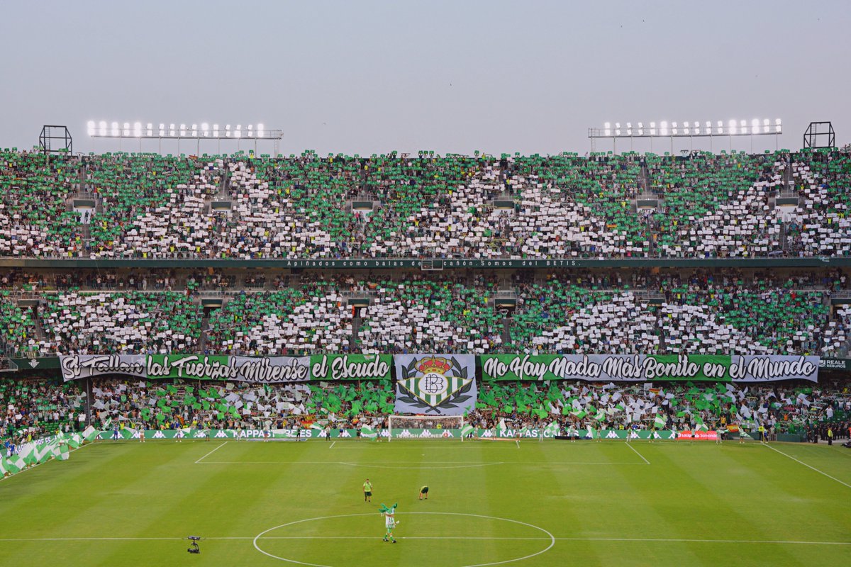 RealBetis's tweet photo. 💚💚💚💚💚💚💚

#ElGranDerbi #DíaDeBetis https://t.co/Xe9T3aItP7