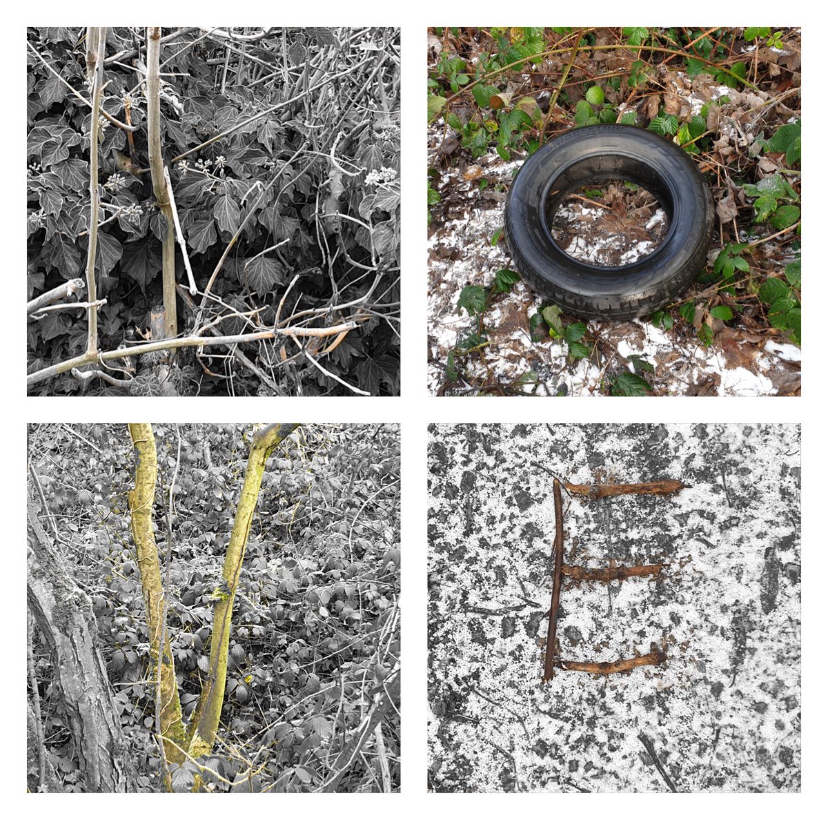 littlejo2010's tweet photo. @lemnsissay @64M_Artists Our day 2 creations for #TheJanuaryChallenge  We love nature and we love chocolate! https://t.co/un4moVkJ50