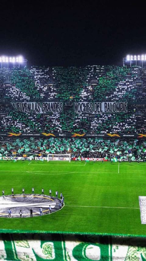 Vamos!! Todo al verde💚💚