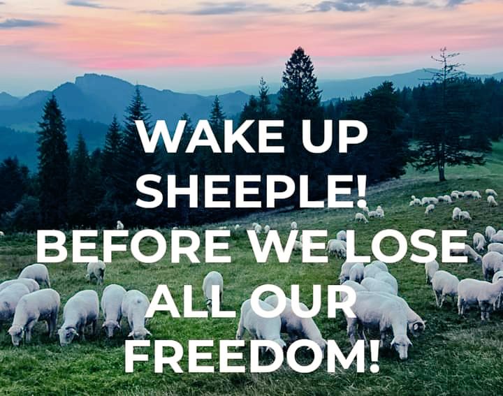 CaroGoran's tweet photo. #wakeupp https://t.co/Iaevy1YICN