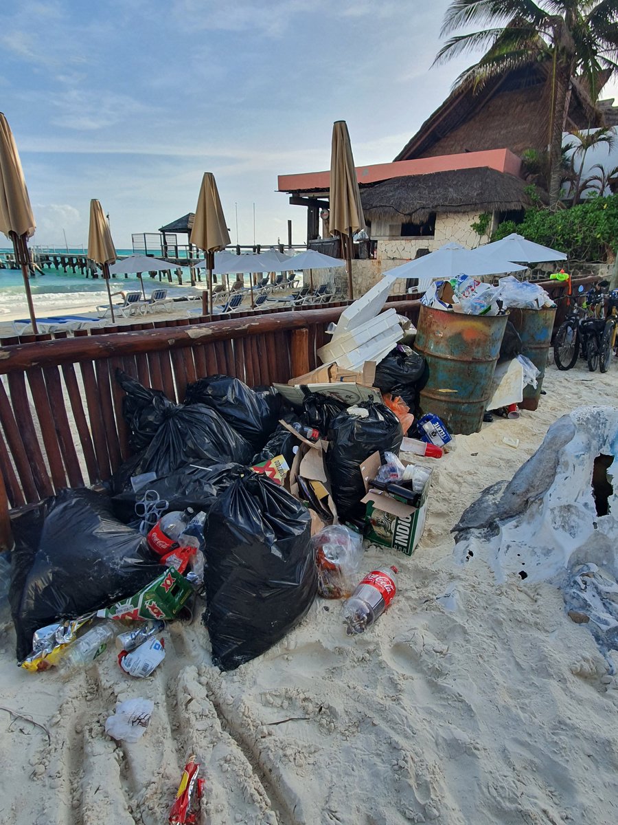 Rafahb7's tweet photo. ¡Por un Cancun limpio!
🤣🤣🤣😒
Por nuestra parte ayudamos un poco a ordenar en Playa Caracol, pero no tenemos forma de llevarnos este foco de infección.
¿Como estará Playa del Niño? 🤔
@cancunecologia @MaraLezama @VivoEnCancun @ZofematSol https://t.co/UPbCxI9hKH
