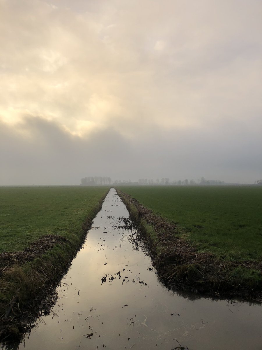 RixtWierda's tweet photo. De zon laat zich even zien tijdens grijs fietstochtje door Mastenbroekerpolder. #fietsenisgenieten #kleingeluk #genietenvanwater #naarbuitennuhetnogkan #straksweerwerken #wdod https://t.co/l6PQ3QDpfx