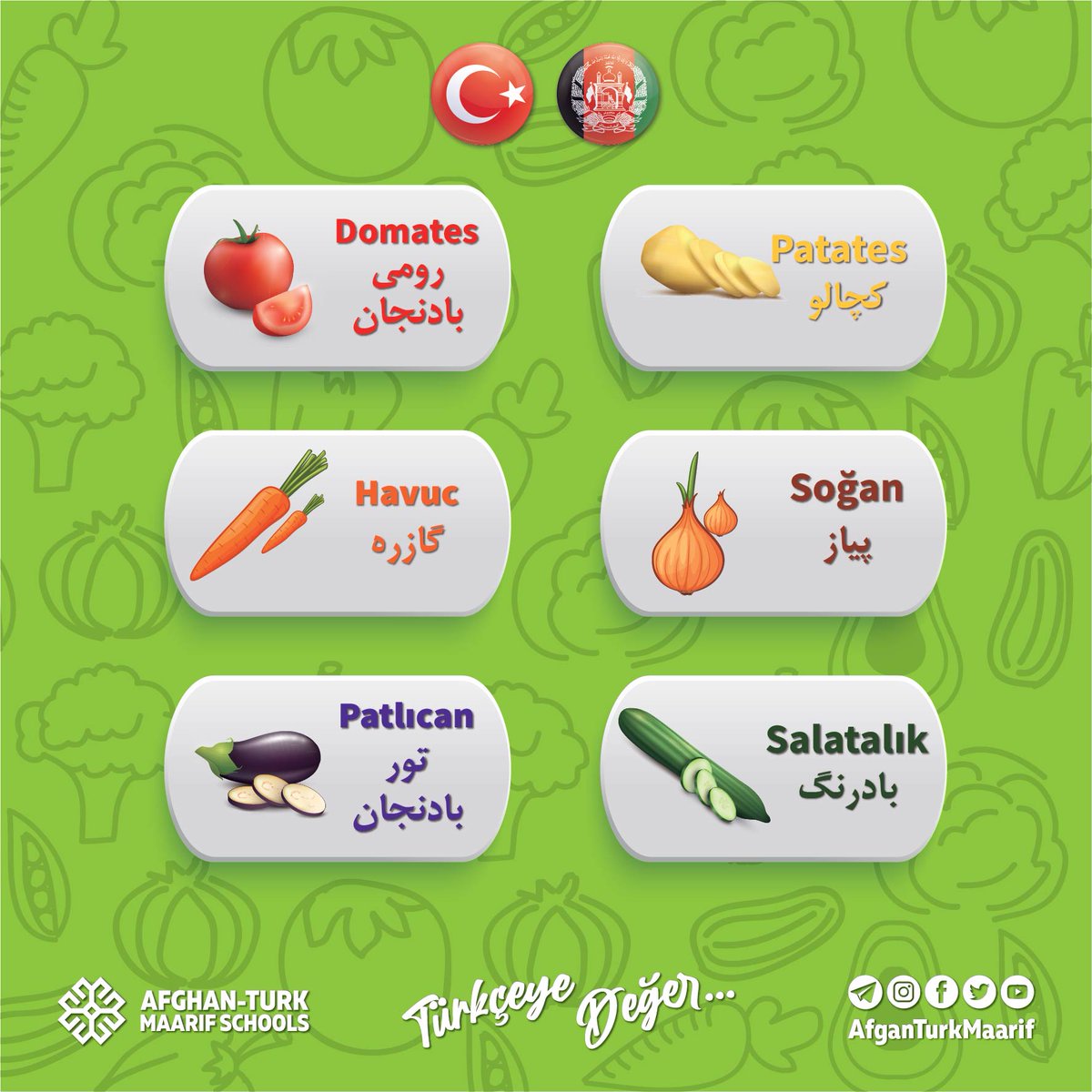 AfganTurkMaarif's tweet photo. ترکی بیاموزیم #سبزیجات 🇹🇷📚
#TürkçeyeDeğer
#Sebzeler
#vegetables https://t.co/ZKg3nwrJg6