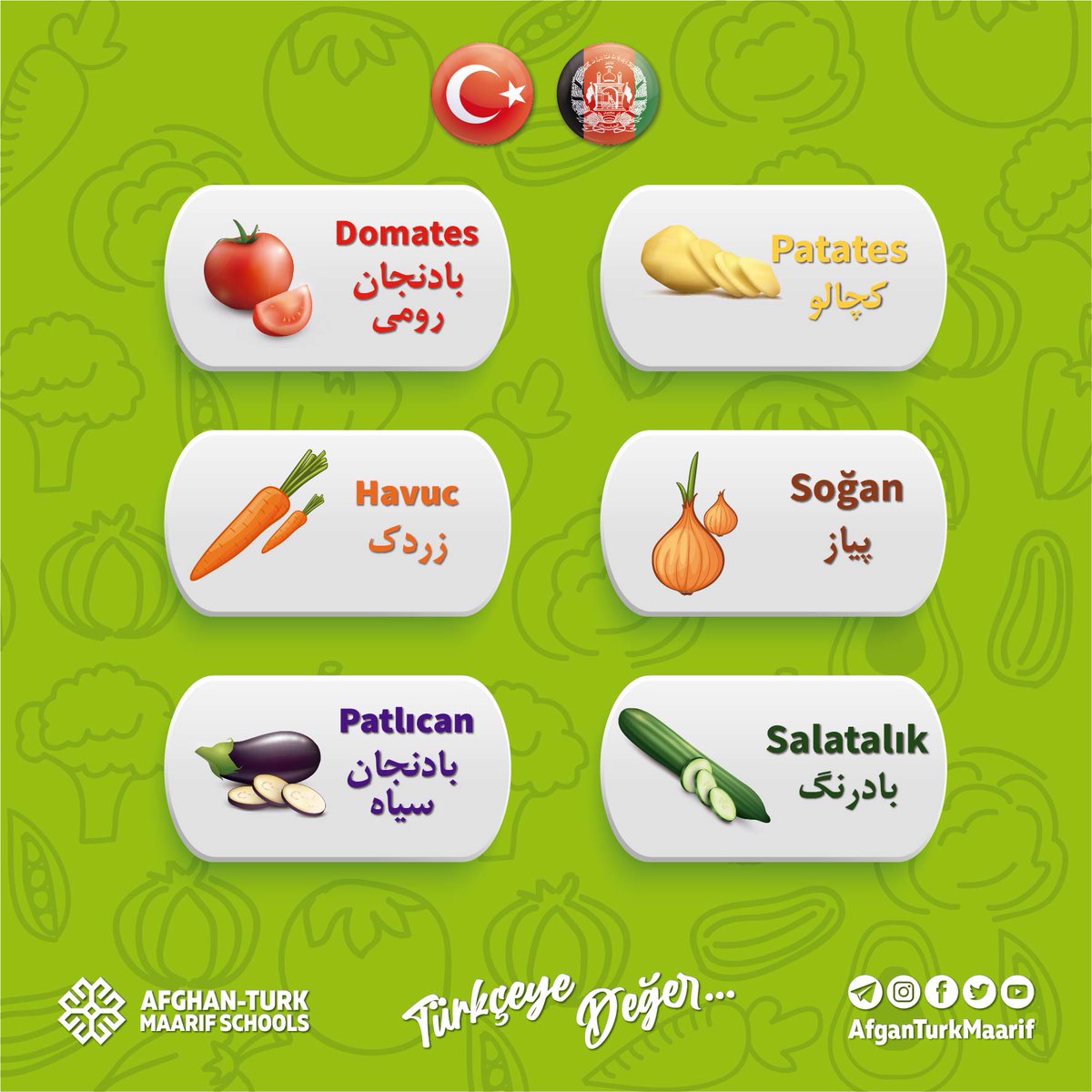 AfganTurkMaarif's tweet photo. ترکی بیاموزیم #سبزیجات 🇹🇷📚
#TürkçeyeDeğer
#Sebzeler
#vegetables https://t.co/ZKg3nwrJg6