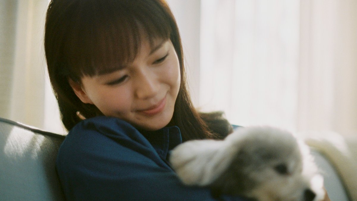ユーキャン auf Twitter: "CM内に登場した写真もご紹介♪ #多部未華子 さんの整理整頓の様子を見守る 愛犬がとってもキュート? 綺麗なお部屋でリラックスしていました☺… "