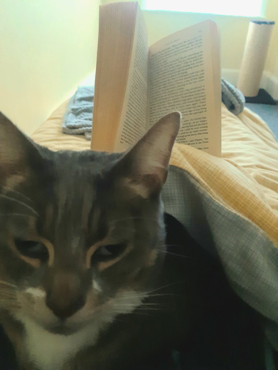Matt_22688's tweet photo. An enjoyable mornings read made tricky by the introduction of this little geezer!
#SaturdayMorning #SaturdayMorningRead #booknerd #CatsLoveACuddle #ACatsLife #Caturday #JustChillin #TheHobbit #GuiltyPleasure #GettingLostInAGoodBook https://t.co/AGKWLWyhXP