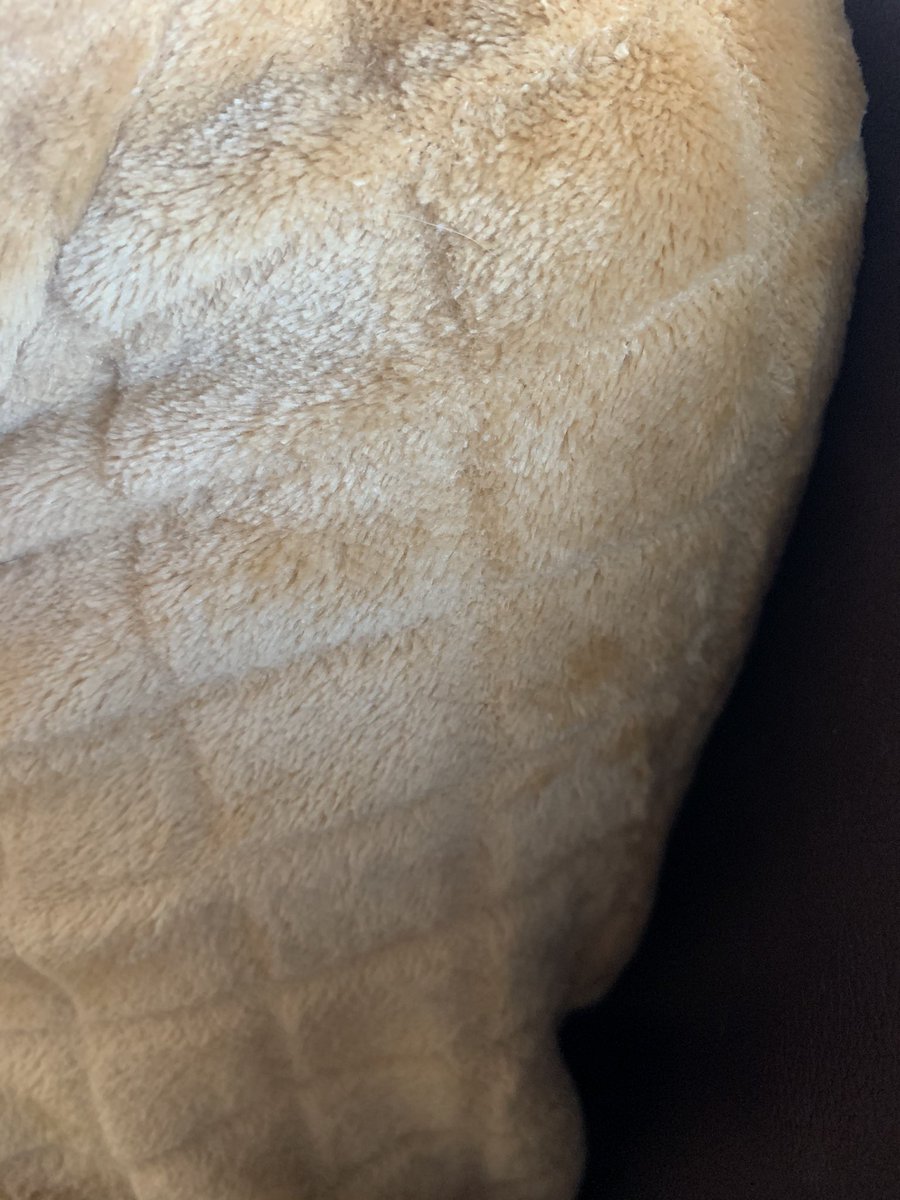 amywalsh23's tweet photo. @LadBabyOfficial my dressing gown makes me look like a sausage roll 😂 https://t.co/pdRNsYqnob