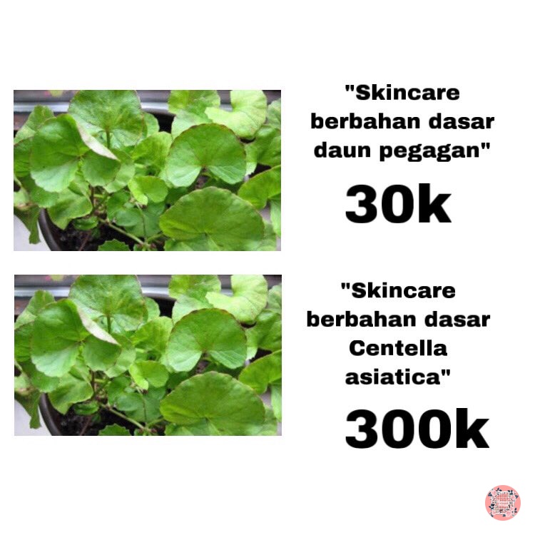 JudahIzHim's tweet photo. /beauty/ setuju ga nih? wkwkwk https://t.co/l0eJHwj3cO