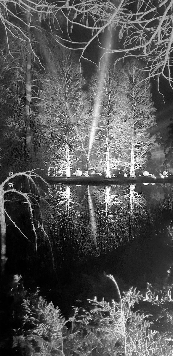 _themeparkfamil's tweet photo. Beautifull Winter Symmetry @RHSWisley #glow2020 #Christmas2020 https://t.co/jqt4PioU0p