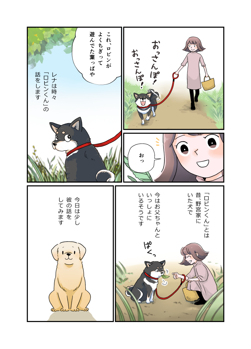 こんにちワン!ふーちゃんです(1)
愛犬目線で愛犬の話を描いてみました(ふーがどう考えているか以外はすべて実話です。エッセイ+部分的に創作な感じでいきます)。 