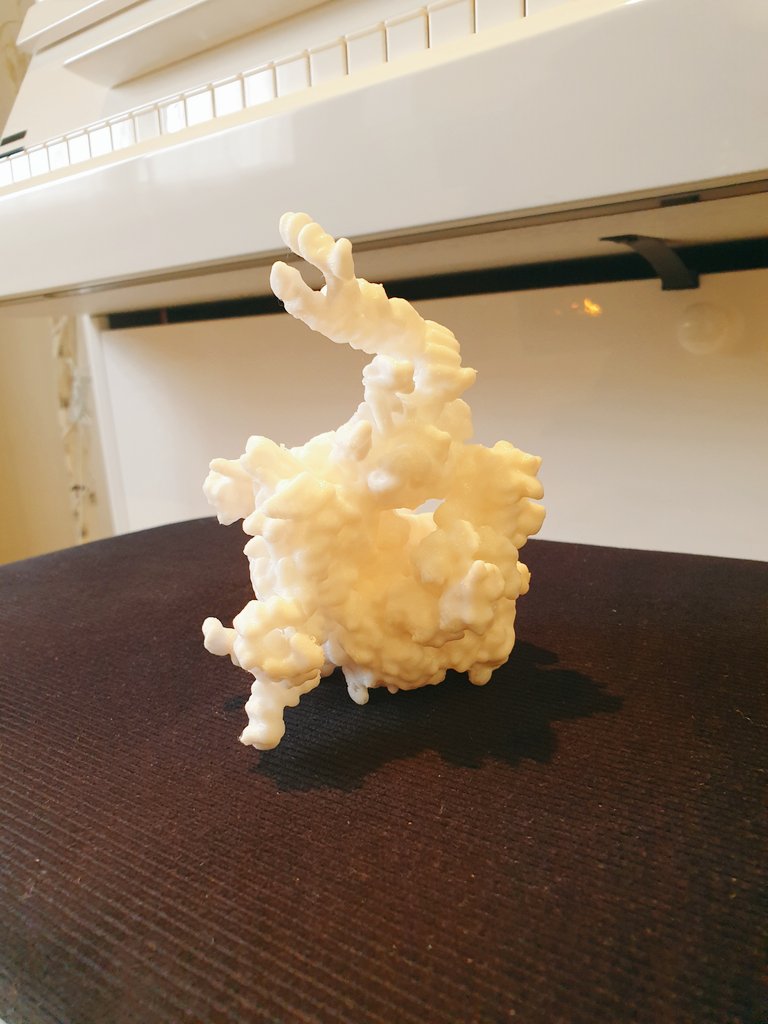 Yaser Hashem tweet media