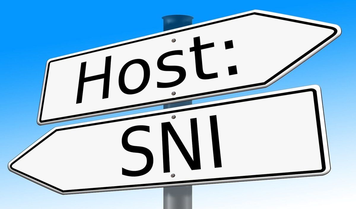 bagder's tweet photo. curl another host https://t.co/sJcn7JtUSX - remember that you can craft curl requests to ask for custom host names in many different ways and most likely for all your needs! https://t.co/1R2OFcQ4zx