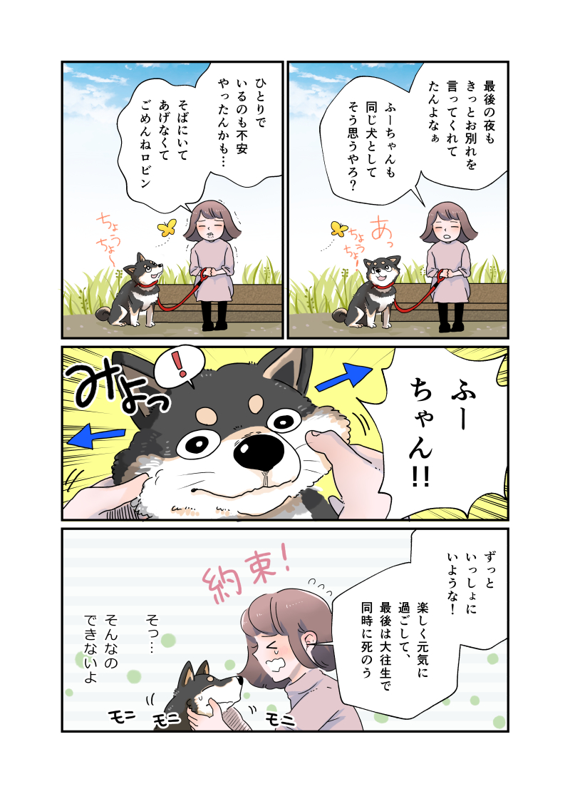 (3) 