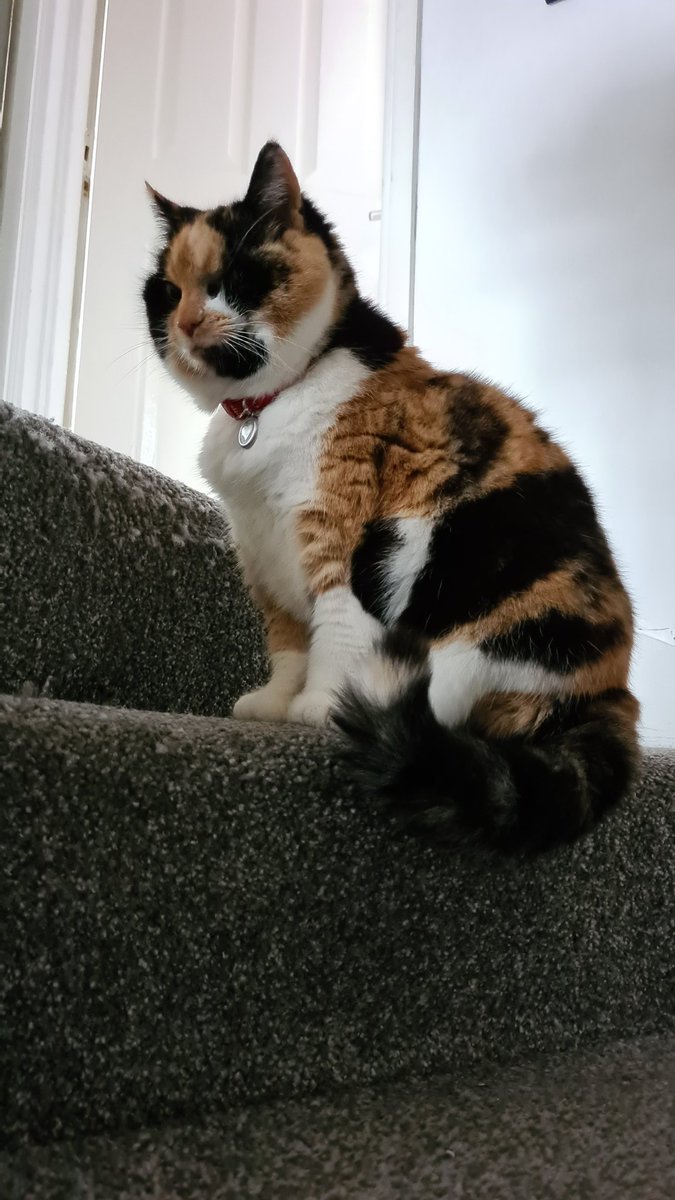 Delirious (DeliriousHaze_) Twitter