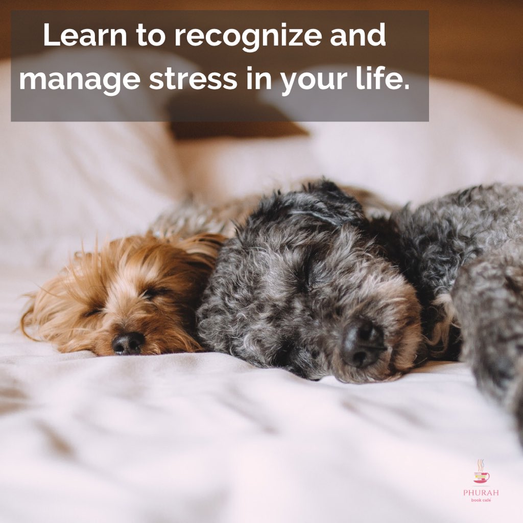 PhurahB's tweet photo. In this 2021, there’s no place for stress that’ll weigh you down. Prioritize your every work and every move so your activities don’t overwhelm you.

#phurahbookcafe #stressmanagement https://t.co/32zPNUAJqr