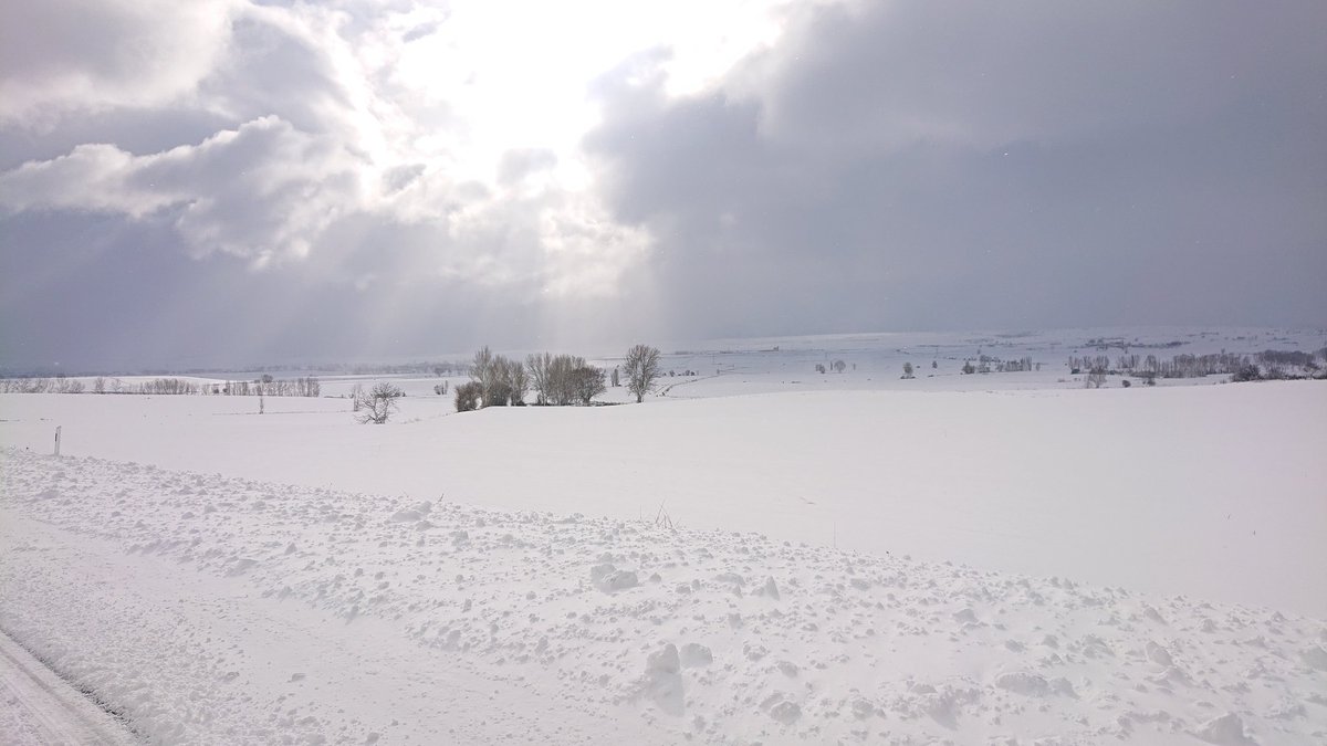 TinieblasdelaSi's tweet photo. Por #BustodeBureba #Burgos así de blanco está el ambiente para comenzar el 2021. 😉 Carreteras complicadas @pcp @diariodeburgos
@TiempoCyLTV @ElTiempo_tve @meteoduruelo @MeteoHacinas @ChristianMugnoz @tomeandres @AlFiloInfngible @GorkaHermoso1 @meteo_bilbao @MeteoMerindades https://t.co/g9NGDQAfRT